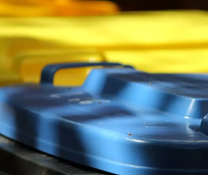 Hinweis zur Müllabholung während der grundhaften Erneuerung in der Mozartstraße und Händelstraße